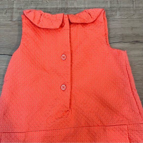 Janie and Jack Baby Girl Dress, Dropwaist Dress, Size 6-12 Months - Picture 5 of 14